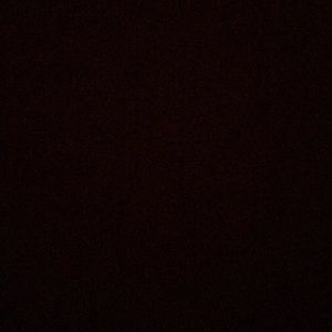 Meet your Posher, Dustyn